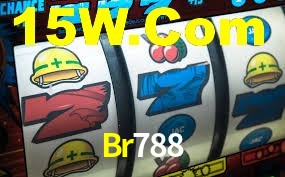 Programa VIP Br788